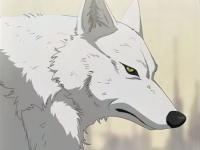 JesterQC's Avatar