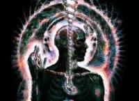 Lateralus's Avatar